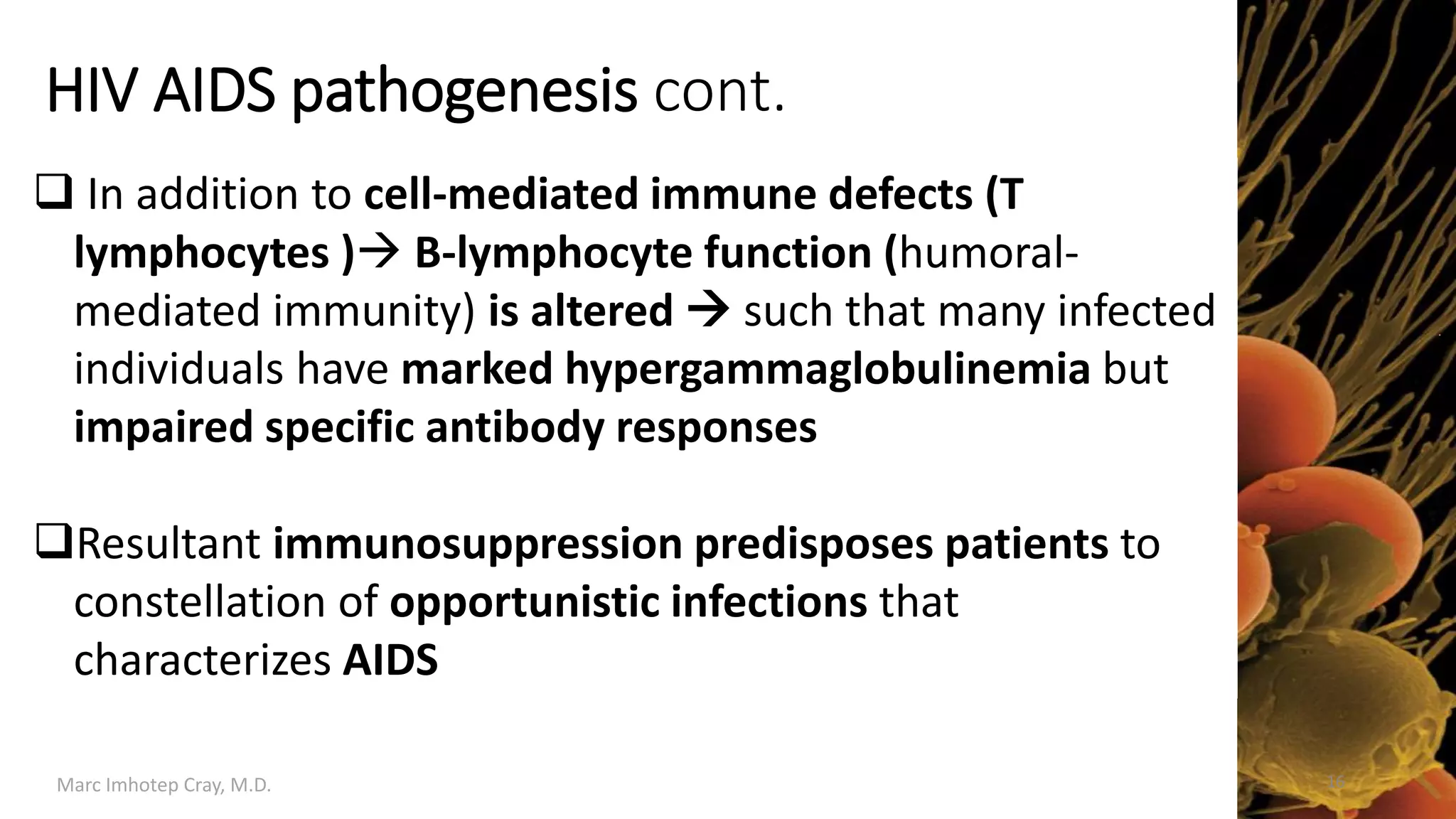 HIV / AIDS Pathology | PDF