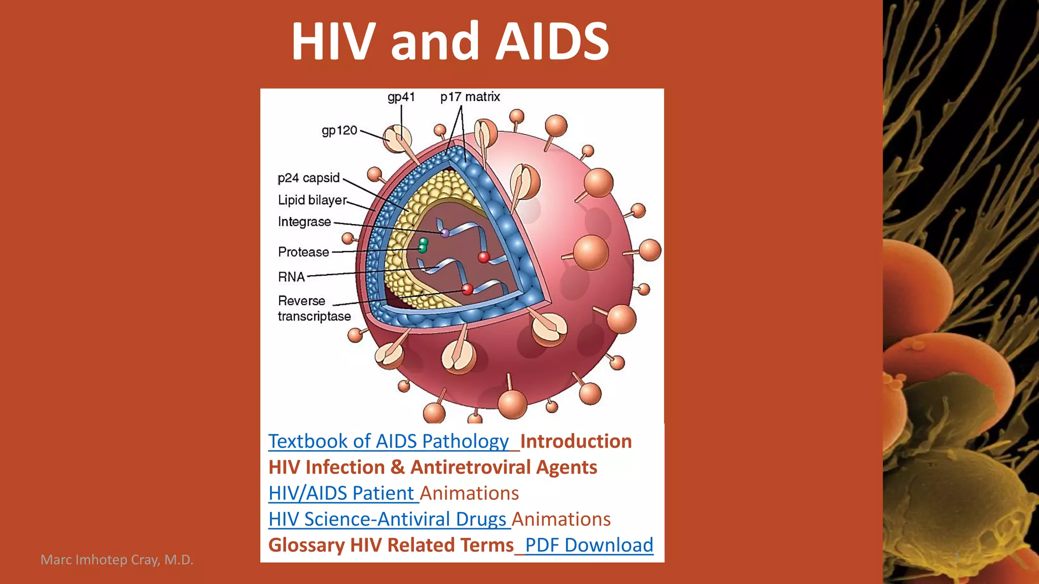 HIV / AIDS Pathology | PDF