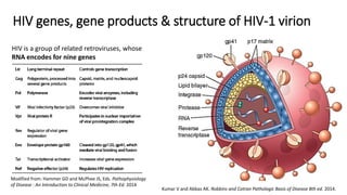 HIV genes, gene products & structure of HIV-1 virion
Kumar V and Abbas AK. Robbins and Cotran Pathologic Basis of Disease ...