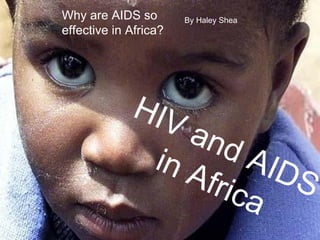 Why are AIDS so effective in Africa? HIV and AIDS in Africa By Haley Shea Why are AIDS so effective in Africa? 