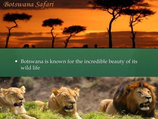 Hiv And Aids In Botswana