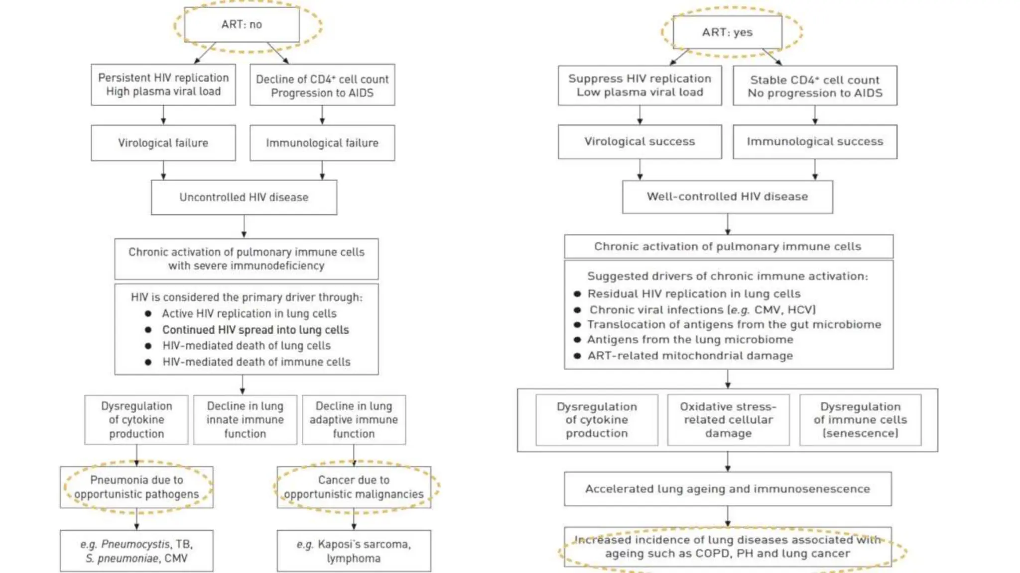 HIV AND LUNGSpulmonary infections in hiv paients | PPTX