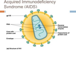 Acquired Immunodeficiency
Syndrome (AIDS)
 