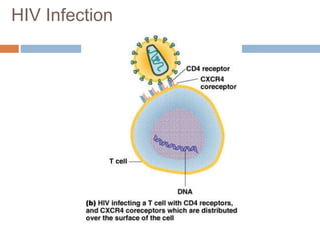 HIV Infection
 