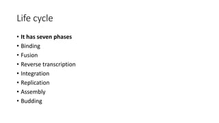 Life cycle
• It has seven phases
• Binding
• Fusion
• Reverse transcription
• Integration
• Replication
• Assembly
• Budding
 