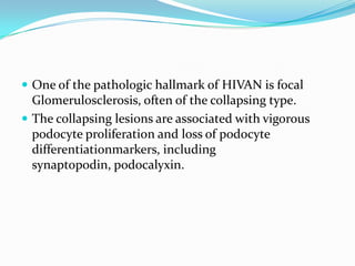 One of the pathologic hallmark of HIVAN is focal Glomerulosclerosis, often of the collapsing type.The collapsing lesions are associated with vigorous podocyte proliferation and loss of podocyte differentiationmarkers, including synaptopodin, podocalyxin.