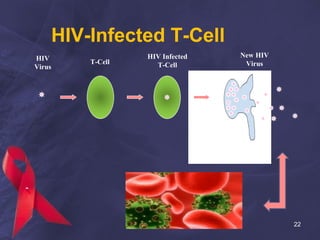 HIV-Infected T-Cell
HIV
Virus
T-Cell
HIV Infected
T-Cell
New HIV
Virus
22
 