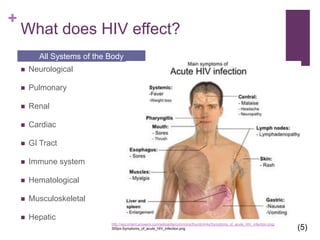What does HIV effect?NeurologicalPulmonaryRenalCardiacGI TractImmune systemHematologicalMusculoskeletalHepaticAll Systems of the Body(5)http://wpcontent.answers.com/wikipedia/commons/thumb/4/4a/Symptoms_of_acute_HIV_infection.png/300px-Symptoms_of_acute_HIV_infection.png