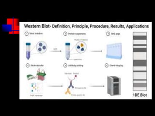 HIV CLASS-22 BATCH.ppt