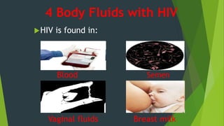 Breast milk
Semen
4 Body Fluids with HIV
HIV is found in:
Blood
Vaginal fluids
 