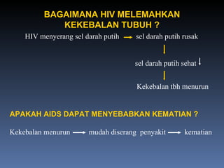 HIV menyerang sel darah putih  sel darah putih rusak    sel darah putih sehat  Kekebalan tbh menurun BAGAIMANA HIV MELEMAHKAN KEKEBALAN TUBUH ? APAKAH AIDS DAPAT MENYEBABKAN KEMATIAN ? Kekebalan menurun  mudah diserang  penyakit  kematian 