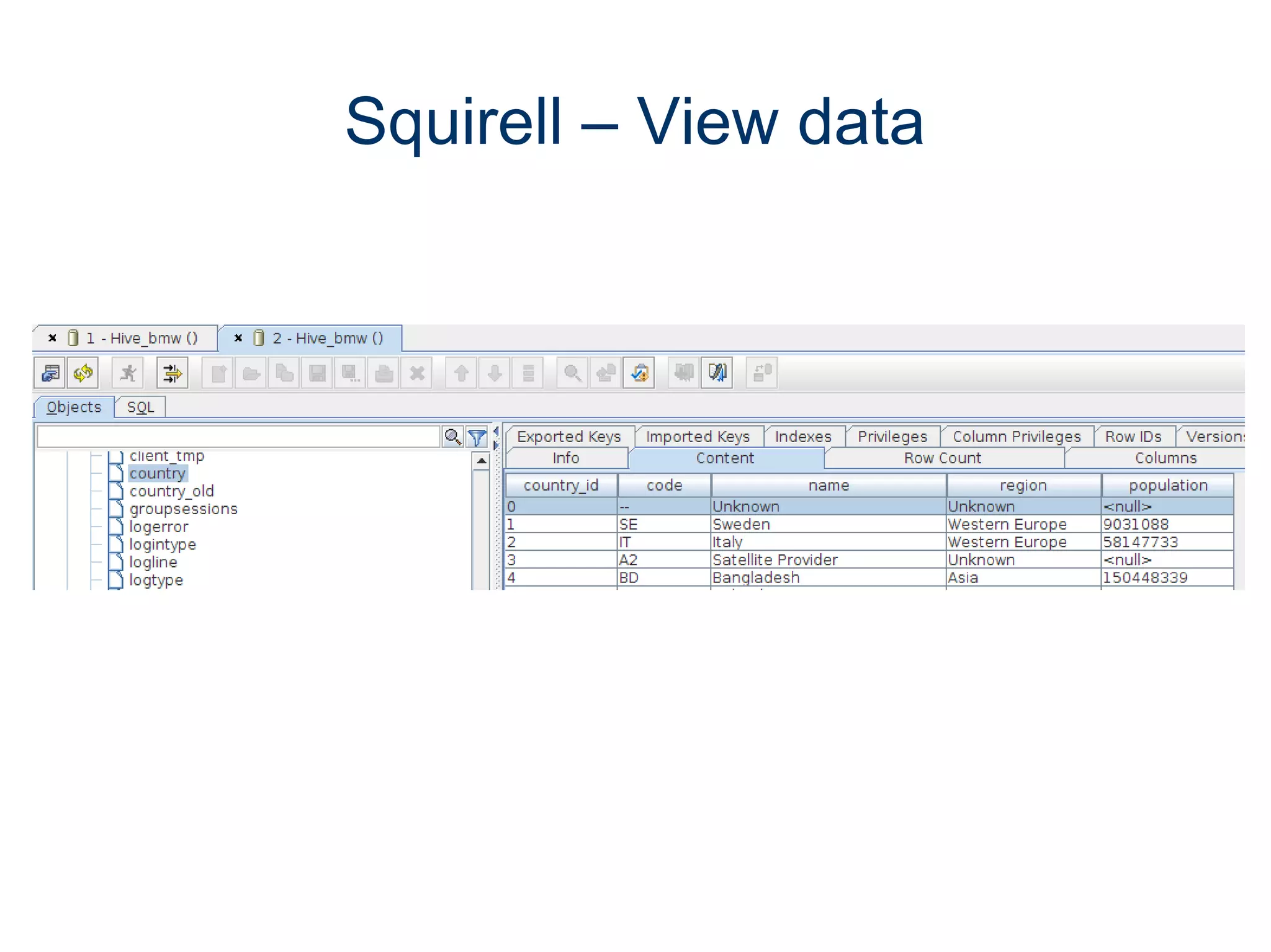 Squirell – View data
 