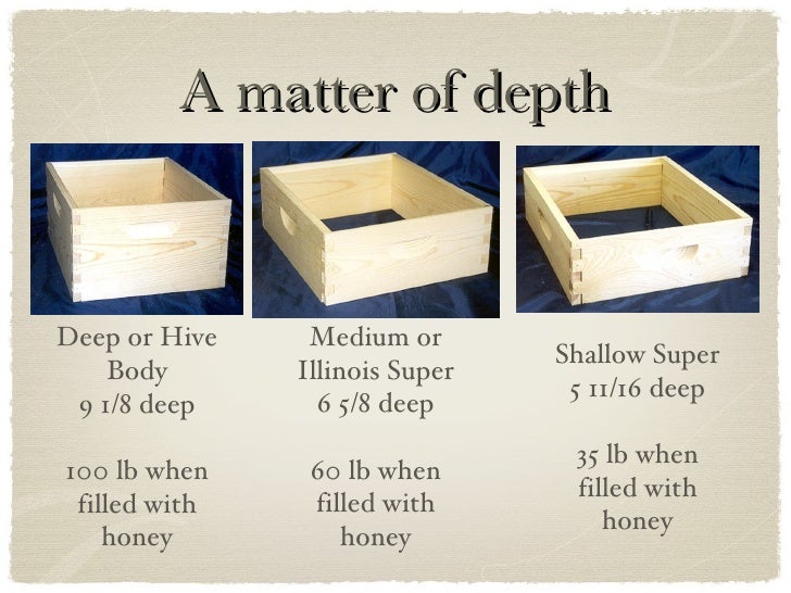 Typical Bee Hive Configuration