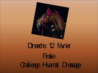 Dimanche  12  février Finale  Challenge  Hivernal  Dressage 