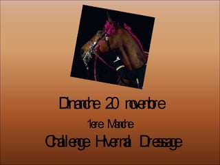 Dimanche  20  novembre 1ere  Manche  Challenge  Hivernal  Dressage 