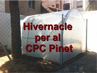 HivernacleHivernacle
per alper al
CPC PinetCPC Pinet
 