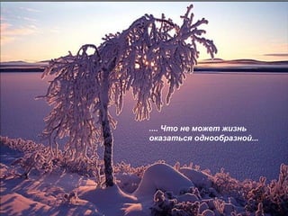 .... Что не может жизнь оказаться однообразной... 