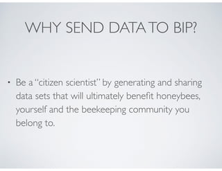 BIP Hive Scale Program Overview | PDF