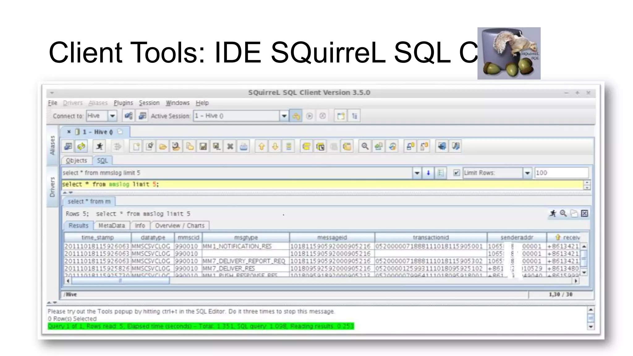 Client Tools: IDE SQuirreL SQL Client

 