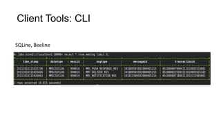 Client Tools: CLI
SQLine, Beeline

 