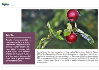 Apple
Apple (Malus pumila) is
commercially the most
important temperate fruit
and is fourth among the
most widely produced fruits
in the world after banana,
orange and grape. Apples
are the oldest commercial
fruit that is grown every
corneroftheworld.
Agriculture is the main occupation of the people of Jammu and Kashmir. About
70% of total population of state depends directly or indirectly on agriculture.
Apple and walnut are the major products of Jammu and Kashmir state, about
75% of apple production in India comes from Jammu and Kashmir. A number of
research have been done in the ﬁeld of apple cultivation, storage and
preservation.
Hivet
6
 