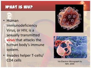 What is HIV?

• Human
  Immunodeficiency
  Virus, or HIV, is a
  sexually transmitted
  virus that attacks the
  human body’s immune
  system.
• Invades helper T-cells/
  CD4 cells                 Via Electron Micrograph by
                                    NIH, 2009
 