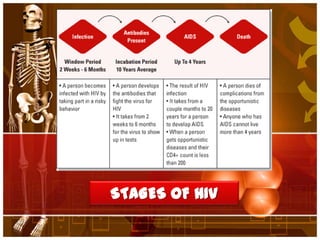 STAGES OF HIV
 