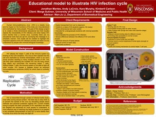 Educational model to illustrate HIV infection cycle Jonathan Mantes, Andy LaCroix, Kara Murphy, Kimberli Carlson Client: Marge Sutinen, University of Wisconsin School of Medicine and Public Health Advisor: Wan-Ju Li, Department of Biomedical Engineering Client Requirements Abstract Final Design Final Design Final Design Acknowledgements 	 Human immunodeficiency virus  (HIV) is a deadly virus and its impact on the functions of the body are misunderstood and overlooked by many people. The goal of this design project is to create a three dimensional educational tool that visually depicts the irreversibility of HIV infection and what makes HIV more harmful than a normal virus. Currently there are no educational tools that are apt for conveying this message in a simplistic manner. This model will be created to highlight the important aspects of the HIV infection process and allow it to be understood by people with minimal biological knowledge. Helper T cell: ,[object Object]