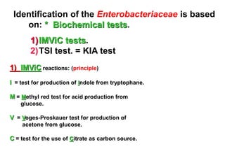 Identification of the Enterobacteriaceae is based
on: * Biochemical tests.
1)IMViC tests.
2)TSI test. = KIA test
1) IMViC reactions: (principle)
I = test for production of Indole from tryptophane.
M = Methyl red test for acid production from
glucose.
V = Voges-Proskauer test for production of
acetone from glucose.
C = test for the use of Citrate as carbon source.
 