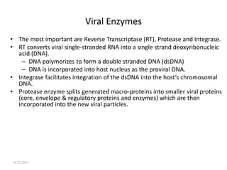 4/23/2015
Viral Enzymes
• The most important are Reverse Transcriptase (RT), Protease and Integrase.
• RT converts viral single-stranded RNA into a single strand deoxyribonucleic
acid (DNA).
– DNA polymerizes to form a double stranded DNA (dsDNA)
– DNA is incorporated into host nucleus as the proviral DNA.
• Integrase facilitates integration of the dsDNA into the host’s chromosomal
DNA.
• Protease enzyme splits generated macro-proteins into smaller viral proteins
(core, envelope & regulatory proteins and enzymes) which are then
incorporated into the new viral particles.
 