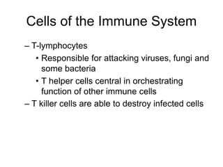 Cells of the Immune System
– T-lymphocytes
• Responsible for attacking viruses, fungi and
some bacteria
• T helper cells central in orchestrating
function of other immune cells
– T killer cells are able to destroy infected cells
 
