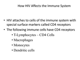 How HIV Affects the Immune System
• HIV attaches to cells of the immune system with
special surface markers called CD4 receptors
• The following immune cells have CD4 receptors
• T-Lymphocytes – CD4 Cells
• Macrophages
• Monocytes
• Dendritic cells
 