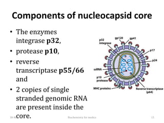 Components of nucleocapsid core
• The enzymes
integrase p32,
• protease p10,
• reverse
transcriptase p55/66
and
• 2 copies of single
stranded genomic RNA
are present inside the
core.30-Mar-18 Biochemistry for medics 15
 