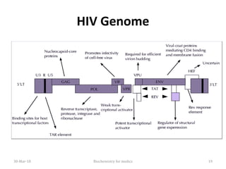 HIV Genome
30-Mar-18 Biochemistry for medics 19
 