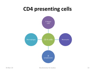 CD4 presenting cells
CD 4 cells
T Helper
cells
Monocytes
B
Lymphocytes
Macrophages
30-Mar-18 Biochemistry for medics 32
 