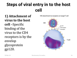 Steps of viral entry in to the host
cell
1) Attachment of
virus to the host
cell –Specific
binding of the
virus to the CD4
receptors is by the
envelop
glycoprotein
gp120.
30-Mar-18 Biochemistry for medics 34
 