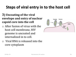 Steps of viral entry in to the host cell
3) Uncoating of the viral
envelope and entry of nuclear
capsid core into the cell
o After fusion of virus with the
host cell membrane, HIV
genome is uncoated and
internalized in to cell.
o Viral RNA is released into the
core cytoplasm
30-Mar-18 38Biochemistry for medics
 