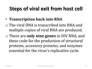 Steps of viral exit from host cell
• Transcription back into RNA
o The viral DNA is transcribed into RNA and
multiple copies of viral RNA are produced.
o There are only nine genes in HIV RNA, and
these code for the production of structural
proteins, accessory proteins, and enzymes
essential for the virus's replicative cycle.
30-Mar-18 42Biochemistry for medics
 
