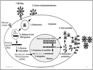 30-Mar-18 44Biochemistry for medics
 