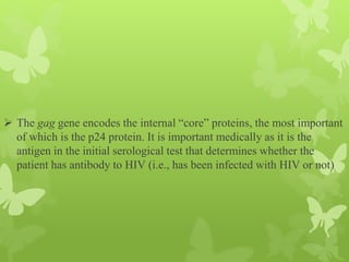  The gag gene encodes the internal “core” proteins, the most important
of which is the p24 protein. It is important medically as it is the
antigen in the initial serological test that determines whether the
patient has antibody to HIV (i.e., has been infected with HIV or not)
 