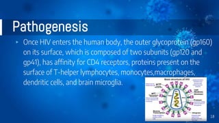 Pathogenesis
▸ Once HIV enters the human body, the outer glycoprotein (gp160)
on its surface, which is composed of two subunits (gp120 and
gp41), has affinity for CD4 receptors, proteins present on the
surface of T-helper lymphocytes, monocytes,macrophages,
dendritic cells, and brain microglia.
18
 