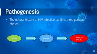 Pathogenesis
▸ The natural history of HIV infection exhibits three general
phases
20
Acute Chronic
terminal
(AIDS)
 
