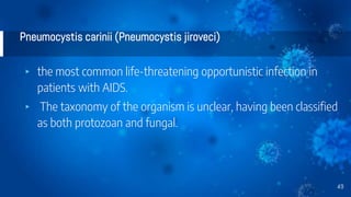 Pneumocystis carinii (Pneumocystis jiroveci)
▸ the most common life-threatening opportunistic infection in
patients with AIDS.
▸ The taxonomy of the organism is unclear, having been classified
as both protozoan and fungal.
49
 