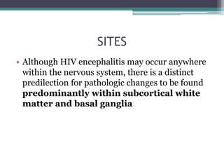 SITES
• Although HIV encephalitis may occur anywhere
within the nervous system, there is a distinct
predilection for pathologic changes to be found
predominantly within subcortical white
matter and basal ganglia
 