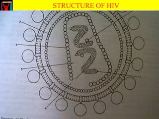 STRUCTURE OF HIV
 