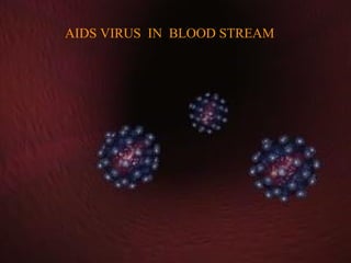 AIDS VIRUS IN BLOOD STREAM
 