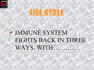 LIFE CYCLE
 IMMUNE SYSTEM
FIGHTS BACK IN THREE
WAYS. WITH………….
 