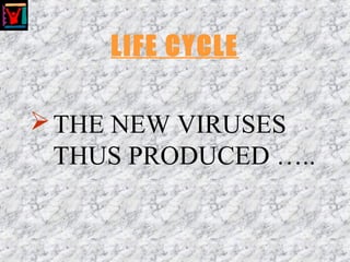LIFE CYCLE
THE NEW VIRUSES
THUS PRODUCED …..
 