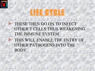 LIFE CYCLE
 THESE THEN GO ON TO INFECT
OTHER T CELLS THUS WEAKENING
THE IMMUNE SYSTEM
 THIS WILL ENABLE THE ENTRY OF
OTHER PATHOGENS INTO THE
BODY
 