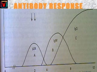ANTIBODY RESPONSE
 
